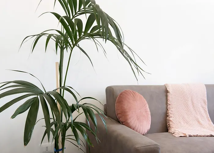 Casa Alba La Casa Delle Coccole 아파트 *
